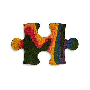 Mos puzzelstuk Rainbow