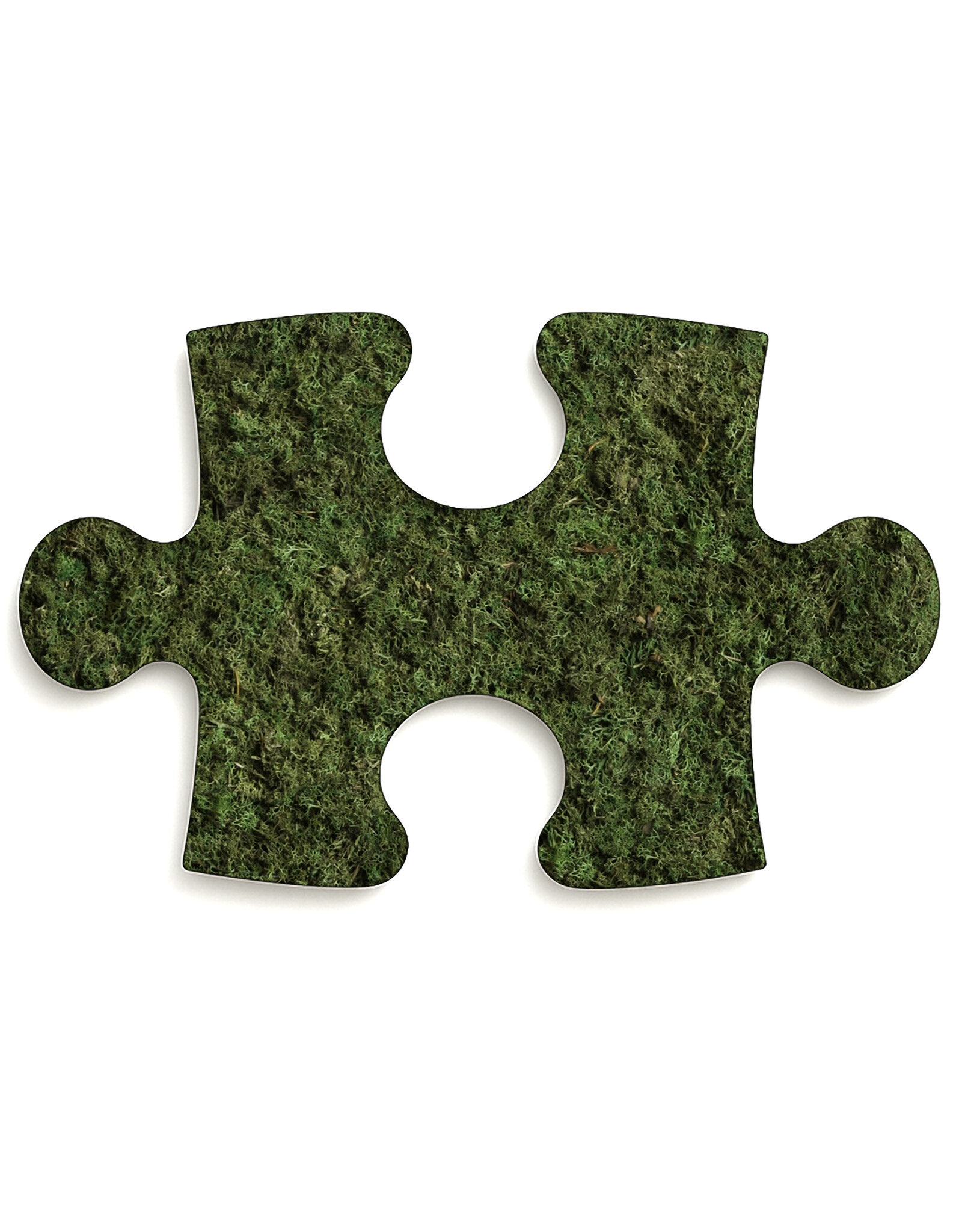 mos-puzzelstuk-eco-forest-mosschilderij-nl