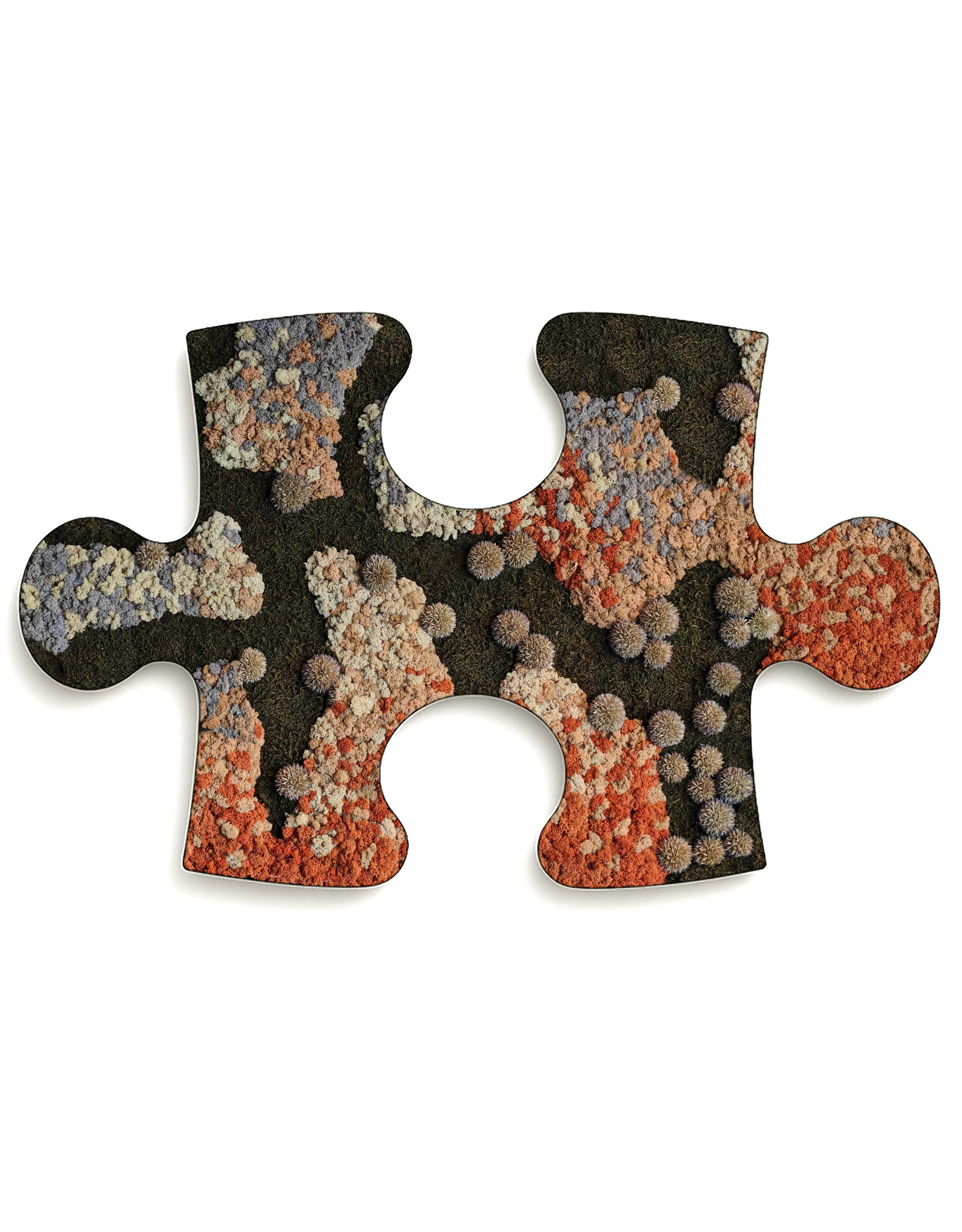 mos-puzzelstuk-lavi-mosschilderij-nl