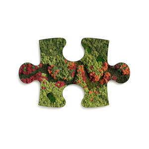 Mos puzzelstuk Renovita