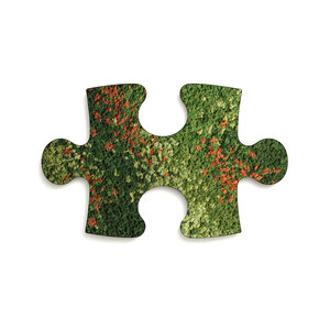 Moss Puzzle Piece Emilia