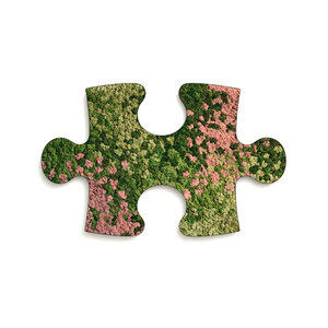 Moss Puzzle Piece Arya