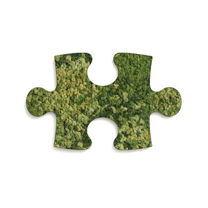 Moss Puzzle Piece Maris