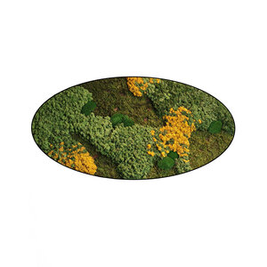 Moss oval Gobi