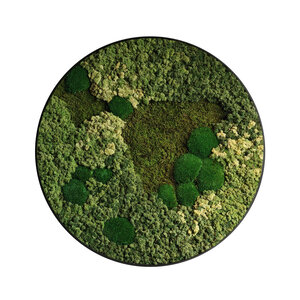 Moscirkel stijl Senex