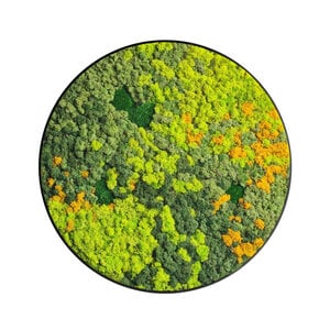 Moscirkel stijl Sundara