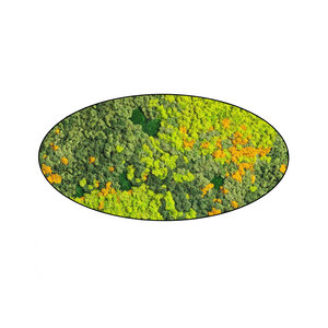 Moss oval Sundara
