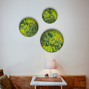 Moss circle set Sundara