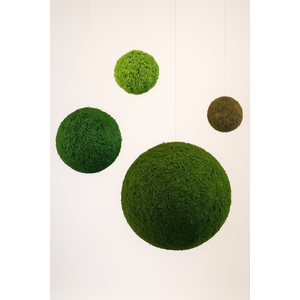 Moss Ball – Flat moss