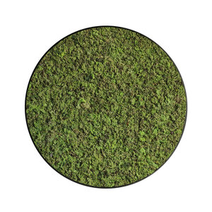 Moscirkel stijl ECO Dimidium