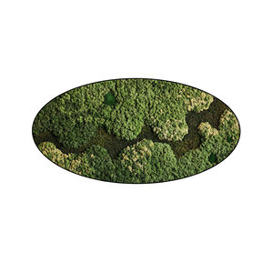 Moss oval Vitalis