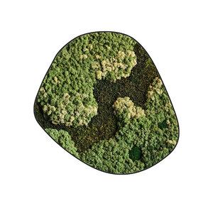 Mossdot cinco Vitalis