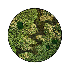 Moscirkel stijl Vitalis