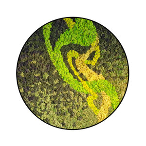 Moss circle style Colvaya