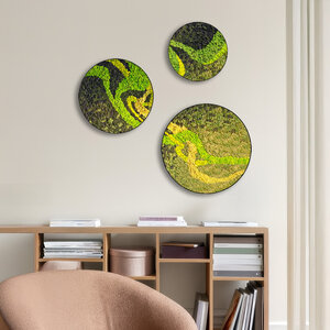 Moss circle set Colvaya