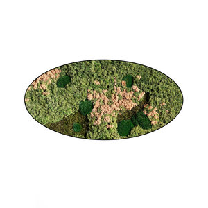 Moss oval Rosaine
