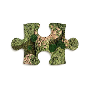 Moss Puzzle Piece Rosaine