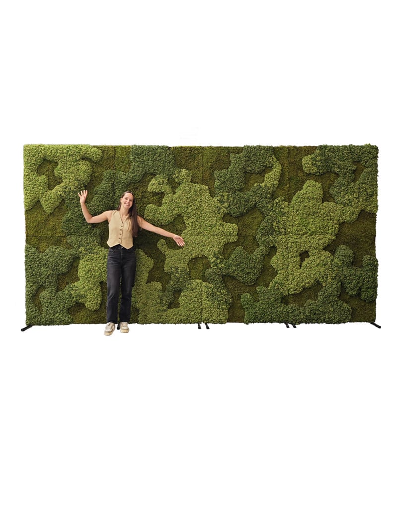 Moss Wall Rental