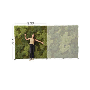 MossBackdrop 2.30 x 2.37 (Rental)