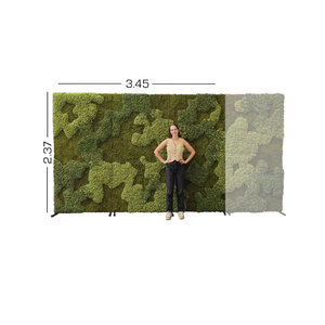 MossBackdrop 3.45 x 2.37 (Rental)