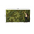MossBackdrop 4.60  x 2.37 (Rental)