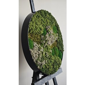 OUTLET Moss Circle mix GREY 60cm with black steel rim (SOLD)