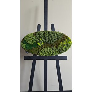 OUTLET Ovaal 60x30 mix kopse zijde zwart (VERKOCHT)