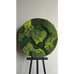 OUTLET moscirkel Ø120cm (VERKOCHT)