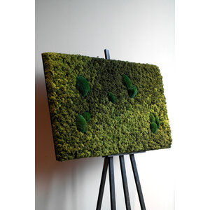 OUTLET Mosschilderij 130x70 (VERKOCHT)