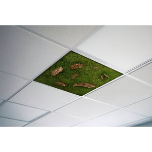 Mos plafond Decia 58cm x 58cm
