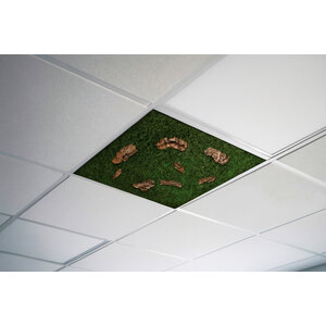 Mos plafond Dew 58cm x 58cm