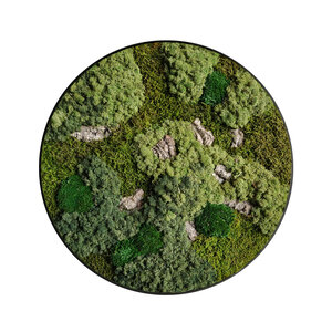 Moscirkel stijl Corky