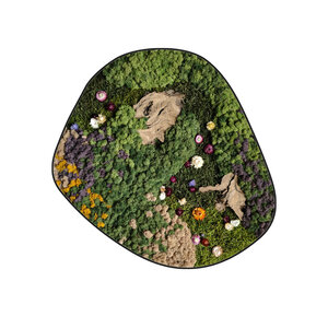 Mossdot cinco Luvina