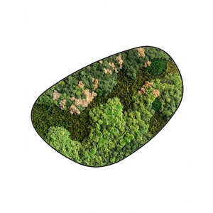 Mossdot cuatro Rosaine