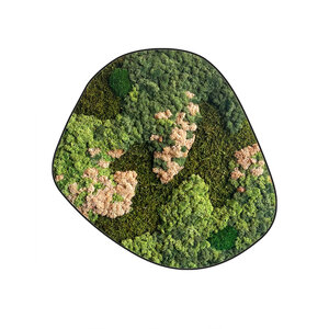 Mossdot cinco Rosaine