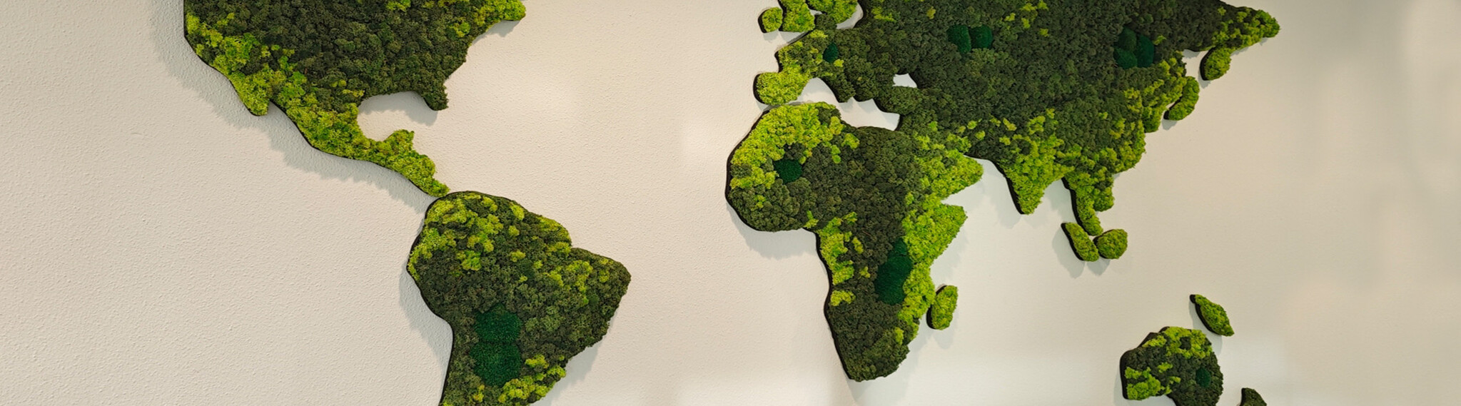 Mosschilderij moosbild moswereldkaart mooskarte Moosbild.jpg