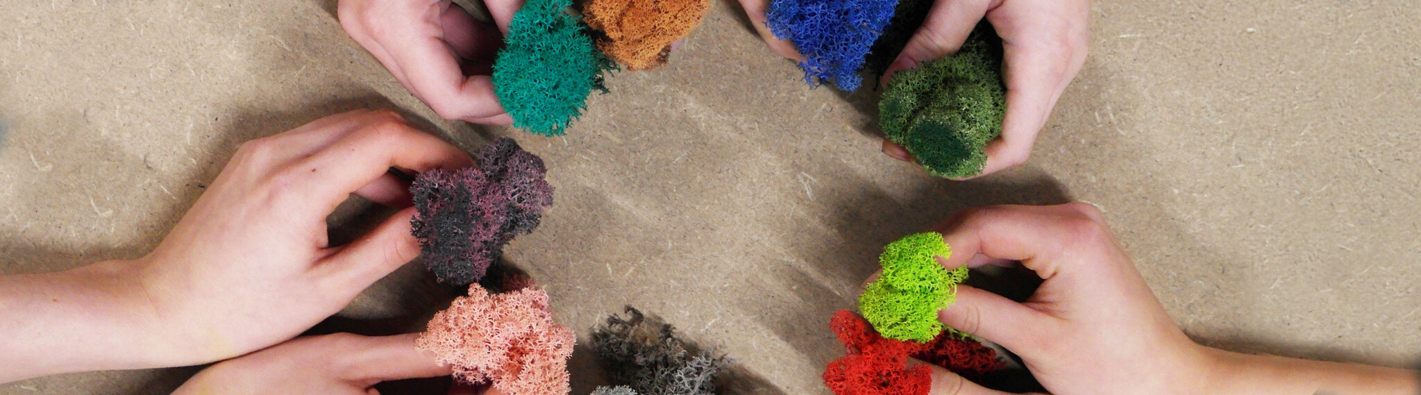 Mosschilderij mossamples mosmonsters sample moss Moosbild