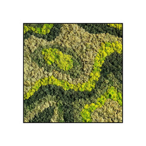 Mosvierkant Organica