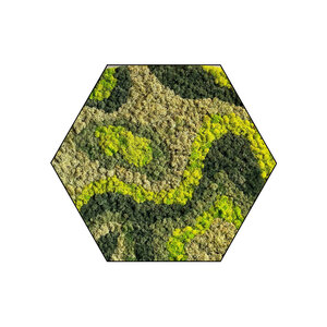 Mosshexagon Organica