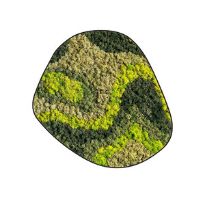 Mossdot cinco Organica