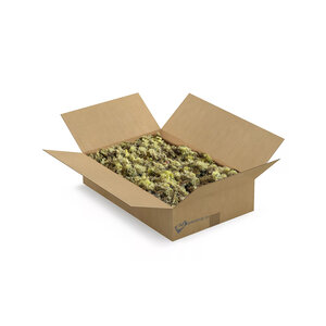 ECO moss Vetus | L box | The cheapest