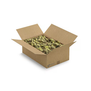 ECO moss Vetus | XL box | The cheapest