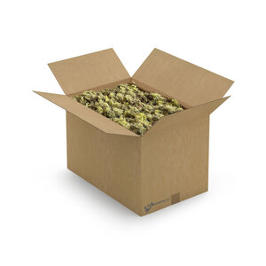 ECO moss Vetus | XXL box | The cheapest