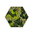 Mosshexagon Vlekova