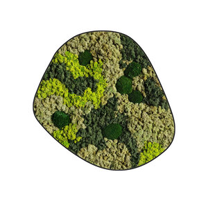 Mosdot cinco Vlekova