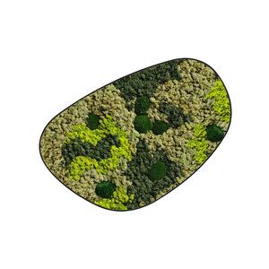 Mossdot cuatro Vlekova