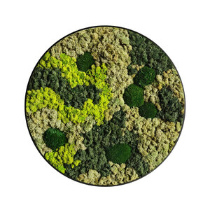 Moscirkel stijl Vlekova