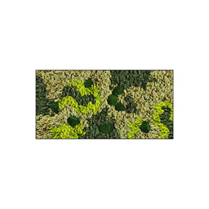 Moss rectangle Vlekova