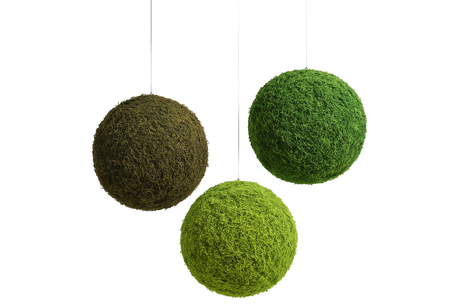 Moss Balls