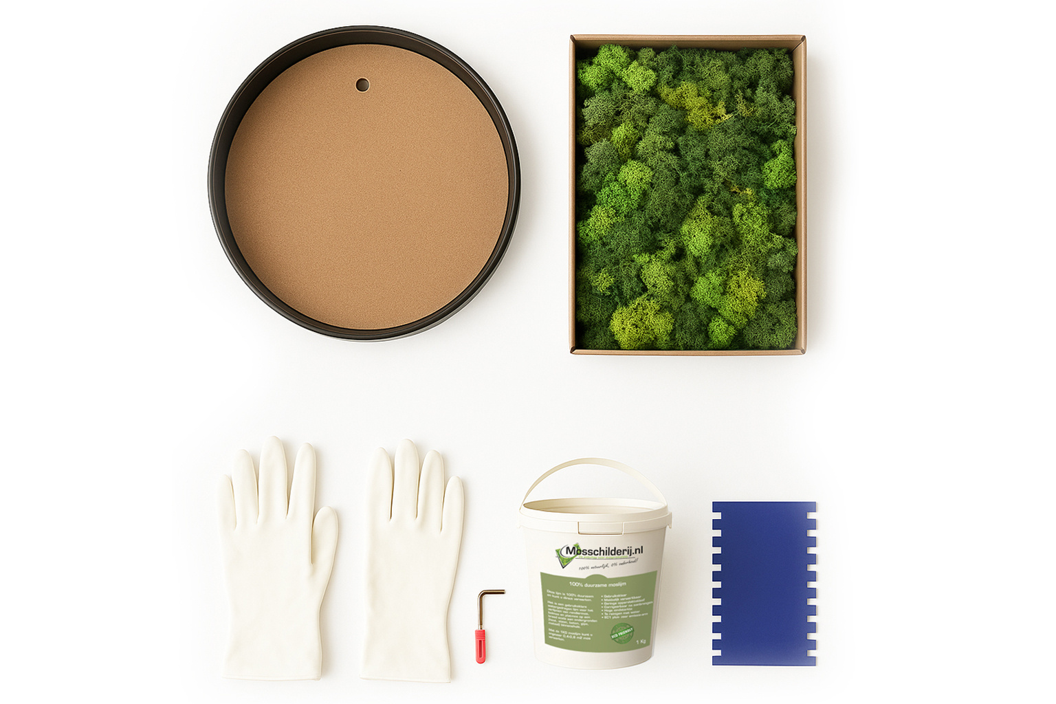 Do It Yourself moss gift idea